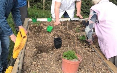 Nouveau jardin thérapeutique pour les résidences Montaigu et Monet