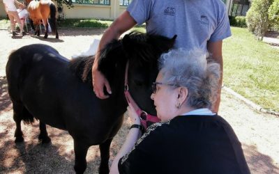 Un retour aux sources : la médiation animale à la ferme, une source de joie et de bien-être à la Charité.