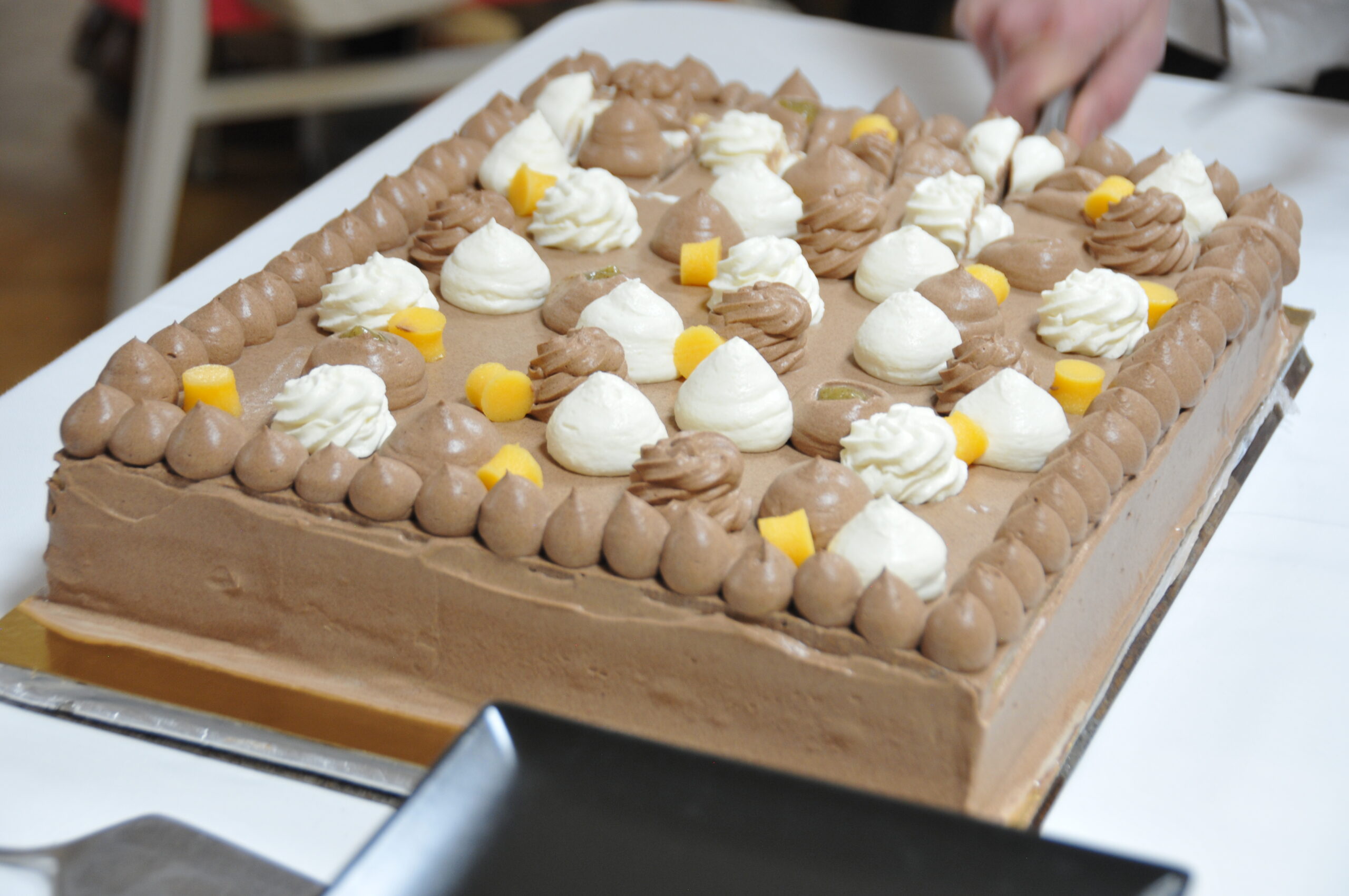 gateau gagnant : bavaoir chocolat et céleri arnaud furnon